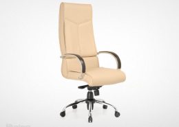 صندلی مدیریت راینو M550C با دسته آلومینیوم و قیمت خرید مناسب